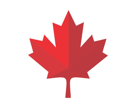 Maple leaf